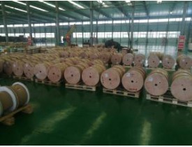 雙玻璃絲包線有哪些特征？